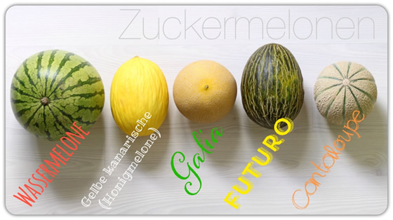 Melonensorten Melonenarten Übersicht Bild