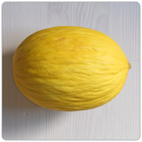honigmelone