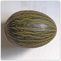futuro melone