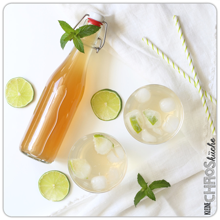 Minze Limetten Sirup lime mint Mojito